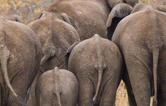 Small Giants: The Past, Present, And Future Of Micro VCs