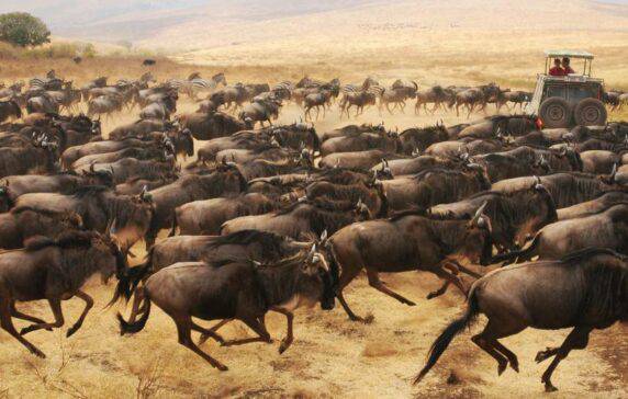 Corporate Stampede Into VC: Active Corporate VCs More Than Double Since 2011