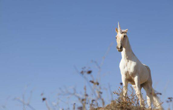 As Early-Stage Deals Fall In India, Unicorns Continue To Raise Mega-Rounds