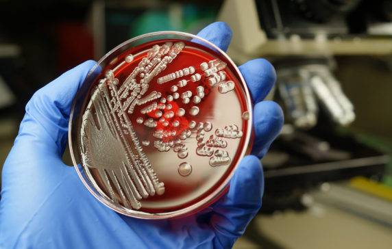 The Fountain Of Youth Could Be Hiding In Your Gut