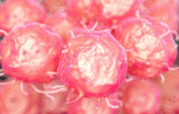 Turning Back The Clock: A New Discovery That Turns Adult Cells Into Stem Cells Could Unlock Medical Treatments