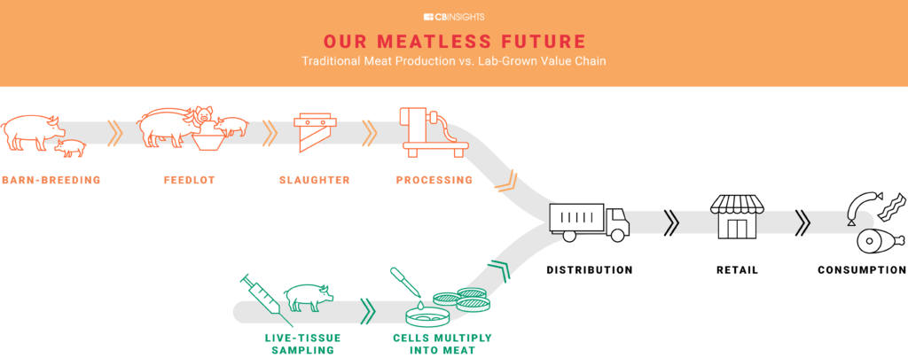 A flowchart-style diagram comparing the factory farming process with the synthetic lab-cultured meat production process.