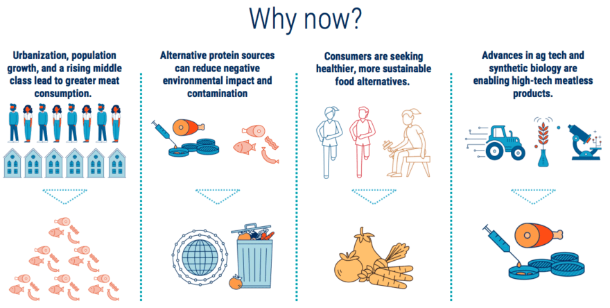 Research Briefing: The Future of Protein