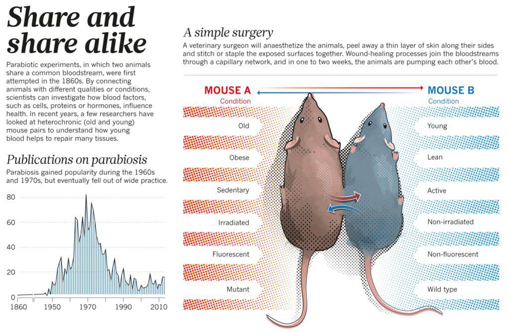 parabiosis mice study Nature
