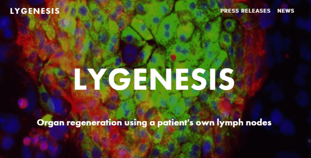 Lygenesis lymph node organ transplant