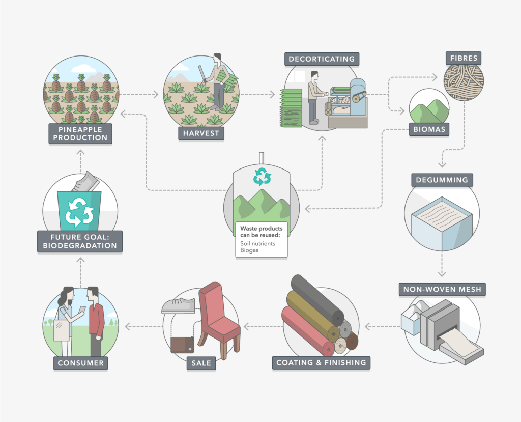The lifecycle of pinatex