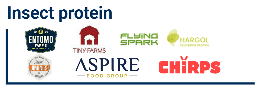 Graphic displaying the logos of seven leading insect-protein companies.
