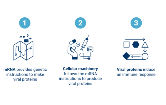 What Are mRNA Therapies, And How Are They Used For Vaccines?