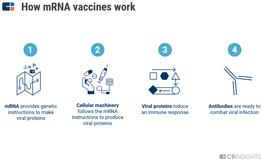 What Are mRNA Therapies, And How Are They Used For Vaccines? - CB ...