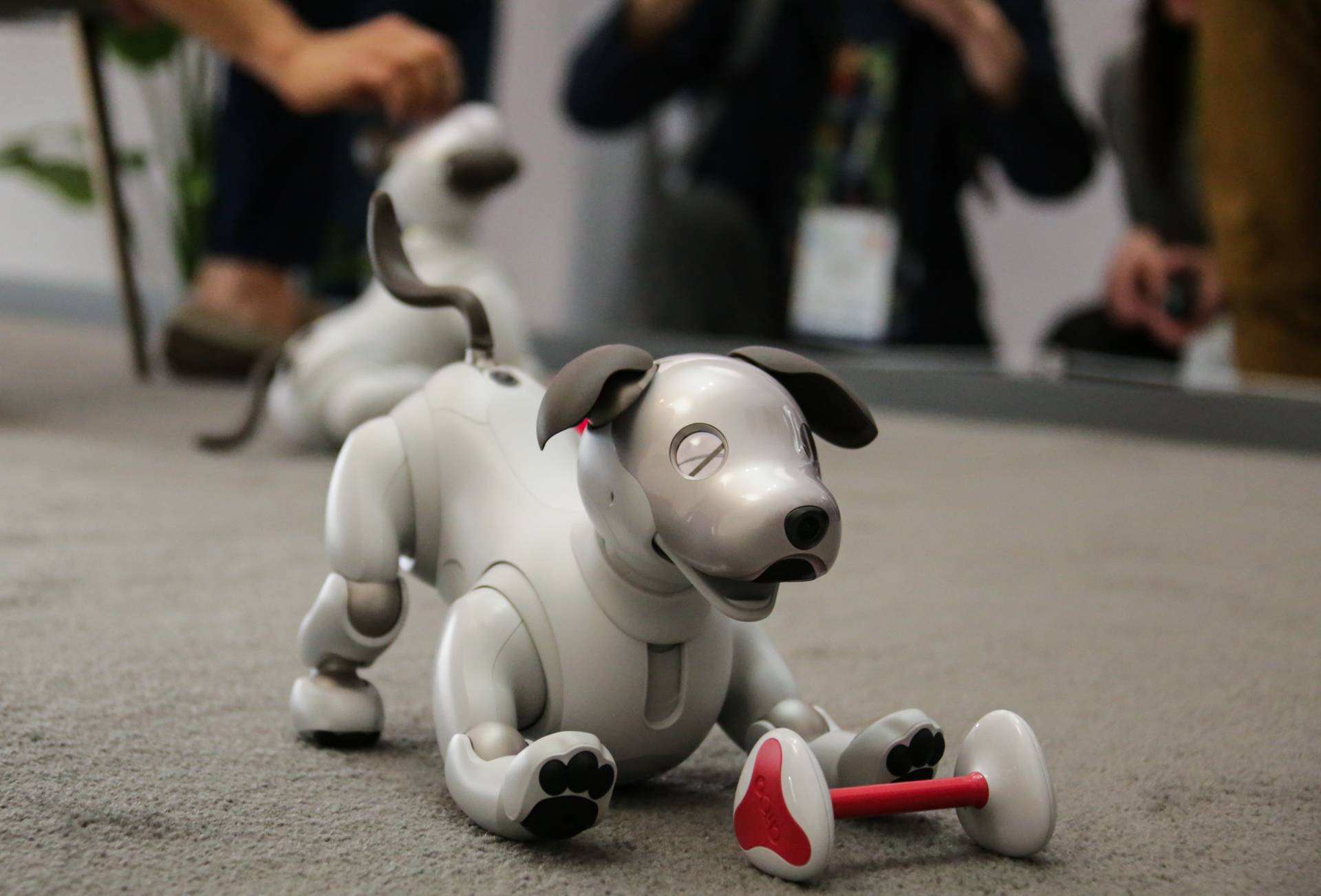 Sony's AIBO robotic dog