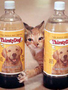 Thirsty Cat! and Thirsty Dog! drinking water