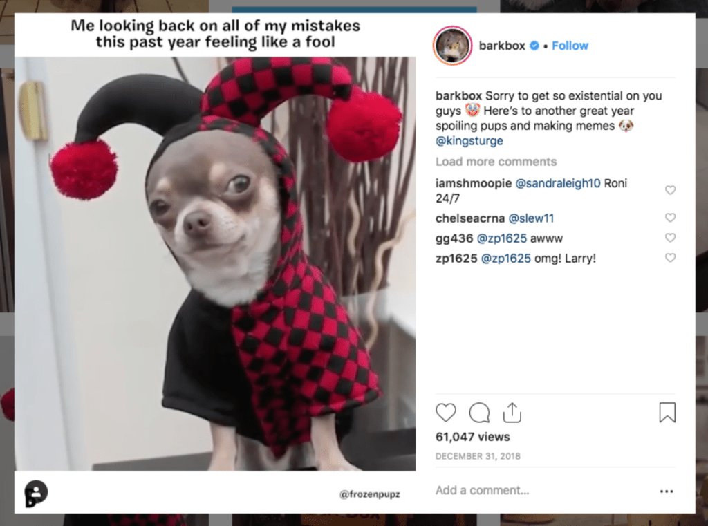 BarkBox在Instagram上分享了一隻穿著戲服的狗