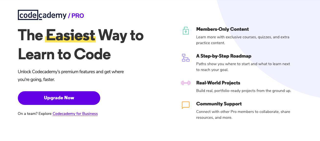 Codeacademy Pro subscription