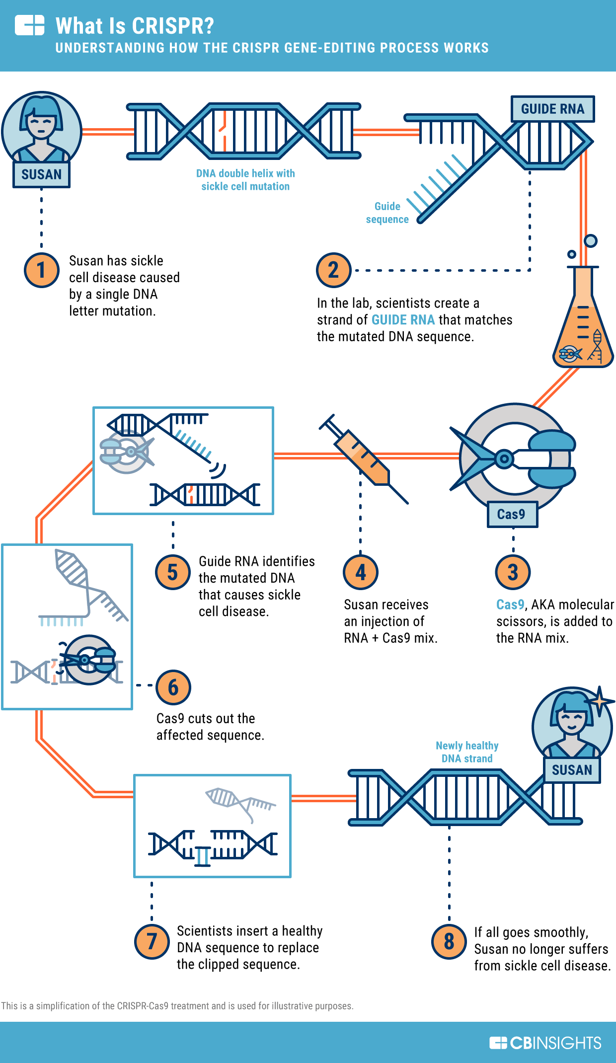 What is CRISPR? How the CRISPR gene editing process works