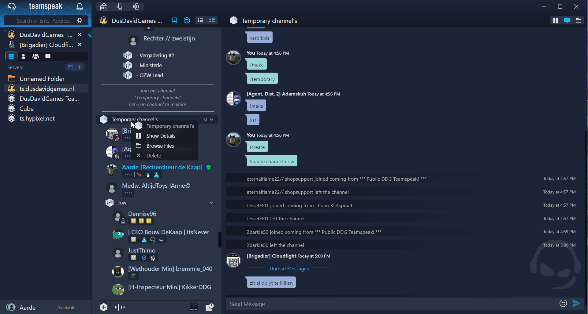 TeamSpeak app user interface showing available servers and group chat