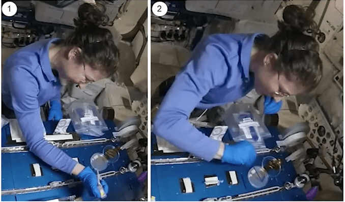 An astronaut in a space shuttle carrying out lab experiments