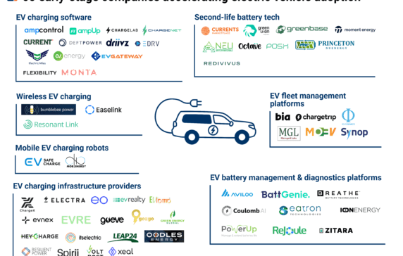 Ev software store companies