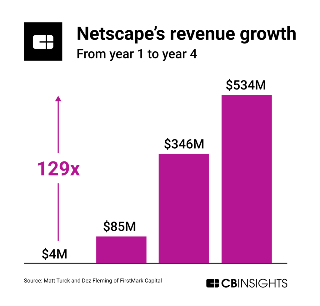 Netscape's revenue growth from year 1 to year 5