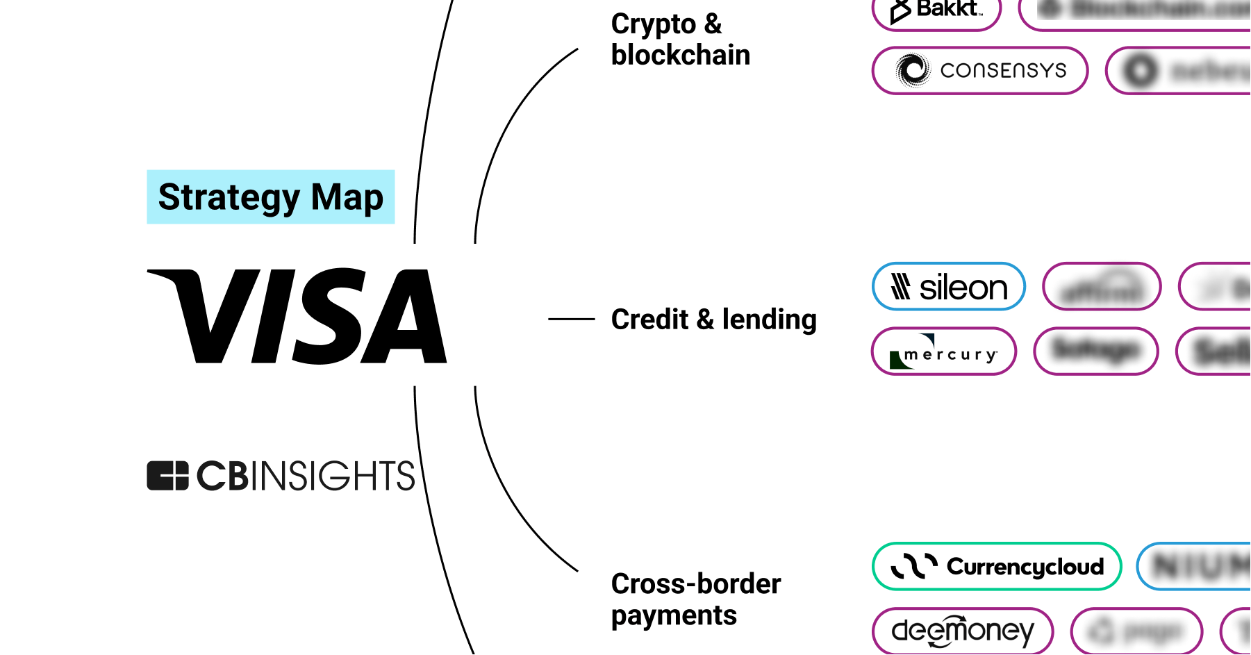 Visa Business Model