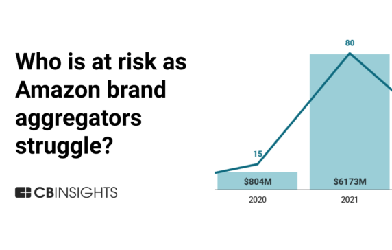 Which investors stand to lose as Amazon brand aggregators hit a wall?