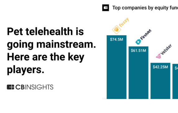 Pet telehealth is going mainstream. Here are the key players in remote vet services.