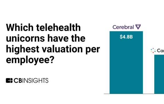 Which telehealth unicorns have the highest valuation per employee?