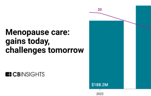 Menopause care funding surged in 2023, but startups in the space face long-term risks